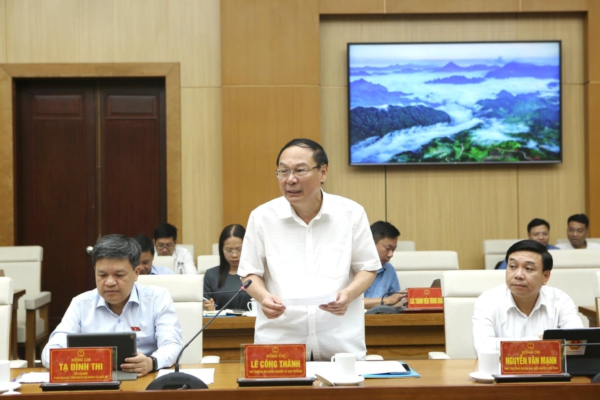 Thứ trưởng Bộ Nông nghiệp và Môi trường Lê Công Thành phát biểu. Ảnh: Khương Trung.
