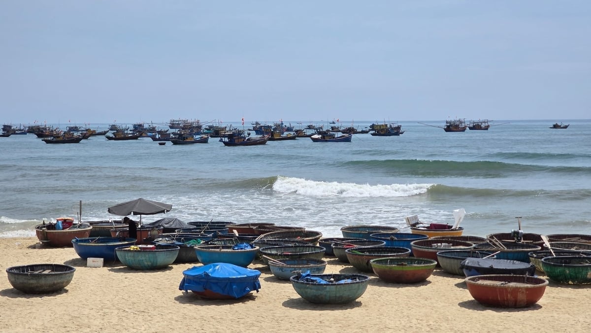 Chợ cá Tam Tiến, xã Tam Xuân, TP Đà Nẵng. Ảnh: Kiên Trung.
