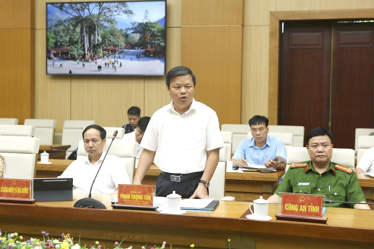 Phó Chủ tịch UBND tỉnh Phú Thọ Phan Trọng Tấn phát biểu. Ảnh: Khương Trung.