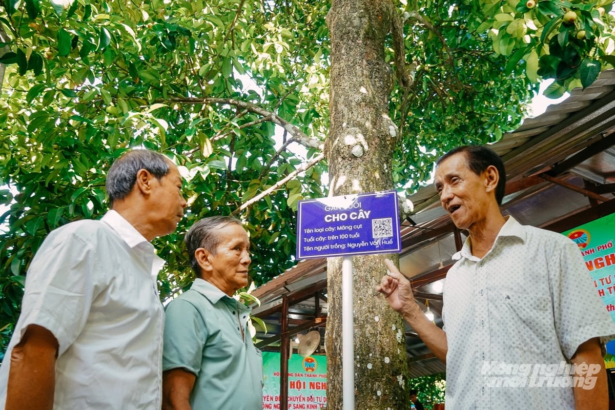 Mr. Nguyen Van Tan, owner of the Mangosteen Garden Ecotourism Site, has recently introduced QR codes to 'assign ages' to the trees and provide visitors with information about the history of the century-old mangosteen trees. Photo: Kim Anh.