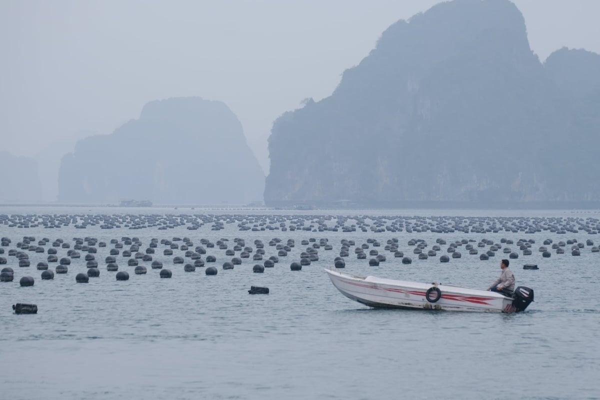 Vùng nuôi thủy sản trên biển Vân Đồn, Quảng Ninh. Ảnh: Kiên Trung.