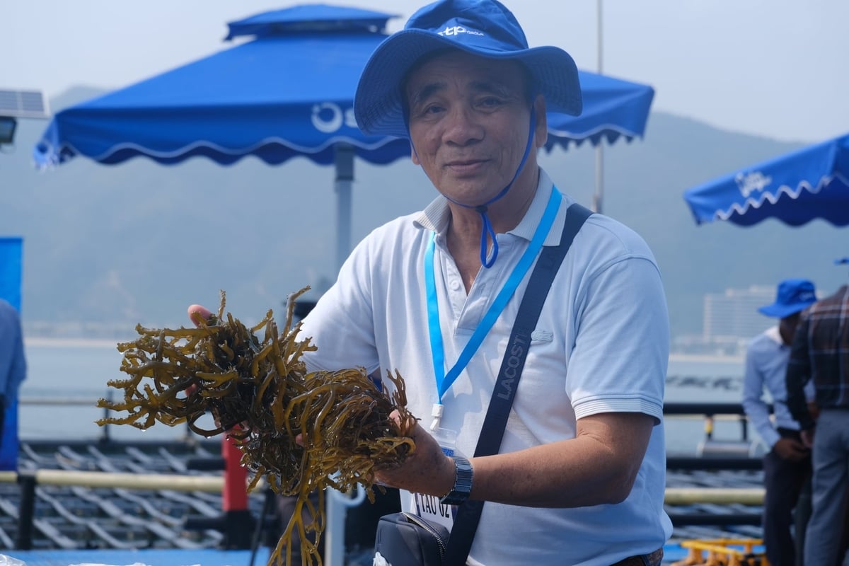 'Việt Nam đã có những đột phá về xây dựng chính sách phát triển nhưng còn rất thiếu nguồn lực và tư duy phát triển bền vững kinh tế biển' - PGS.TS Vũ Thanh Ca. Ảnh: K.Trung.