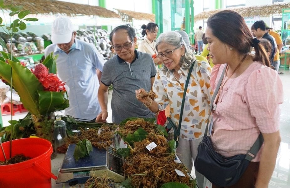 Lễ hội Sâm Ngọc Linh và Dược liệu quốc tế Đà Nẵng 2026 nhằm quảng bá giá trị của Sâm Ngọc Linh. Ảnh: L.A.