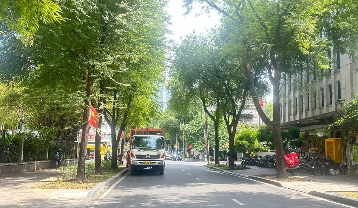 TP.HCM sẽ triển khai đồng loạt các hoạt động hưởng ứng Tháng hành động vì môi trường và Ngày Môi trường thế giới 5/6/2026. Ảnh: Tường Tú.