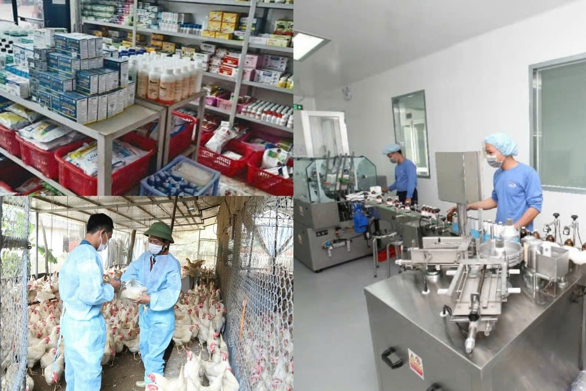 Thời gian giải quyết toàn bộ thủ tục cấp Giấy chứng nhận thực hành tốt sản xuất thuốc thú y là 12 ngày làm việc. Ảnh: Phúc Hưng.