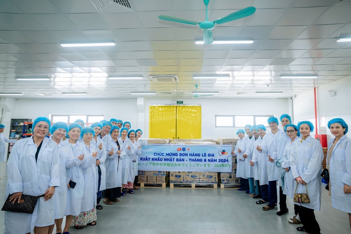 Lê Gia luôn nỗ lực đáp ứng tiêu chuẩn khắt khe của các thị trường quốc tế. Ảnh: Lê Gia.