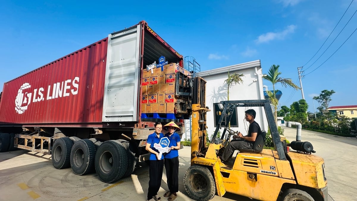 Lê Gia luôn kiên định với con đường đưa sản phẩm của làng biển ra thị trường quốc tế. Ảnh: Thanh Tâm.