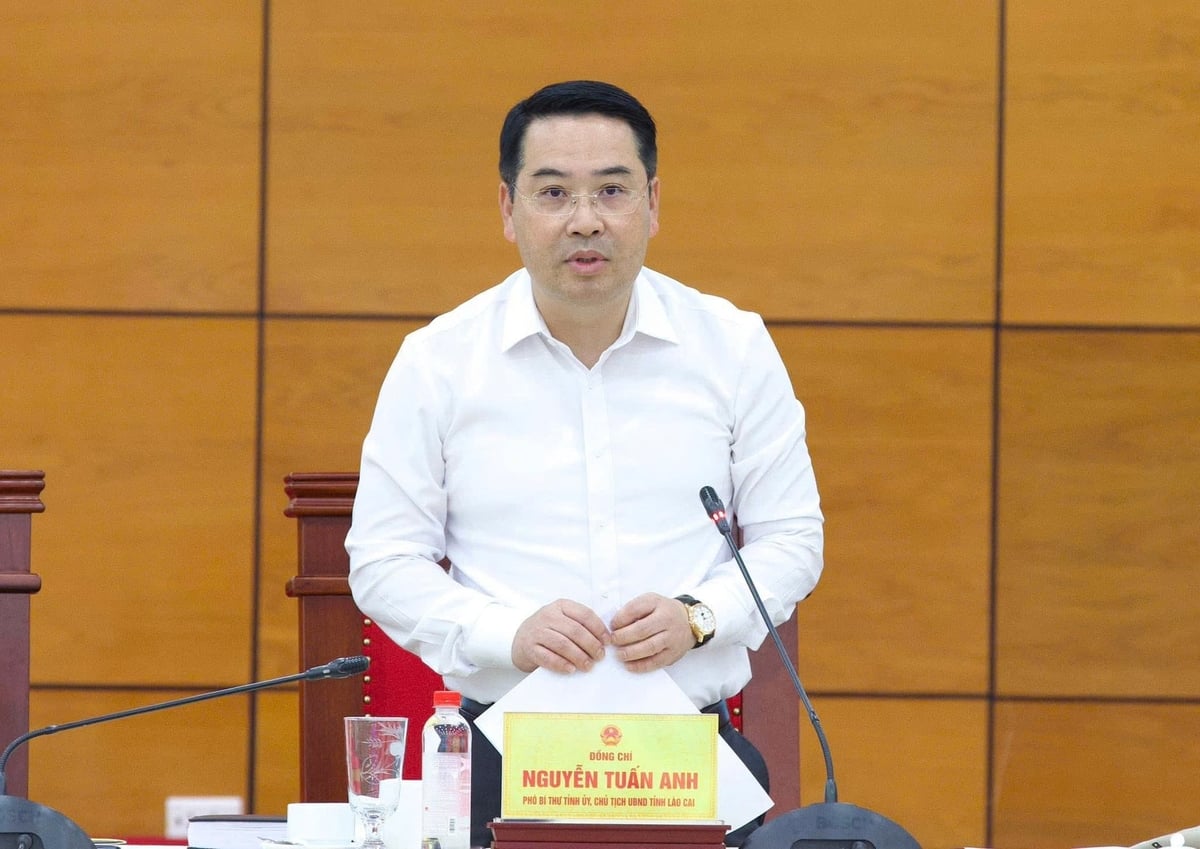 Ông Nguyễn Tuấn Anh, Chủ tịch UBND tỉnh Lào Cai phát biểu kết luận Hội nghị. Ảnh: Nguyễn Hải.