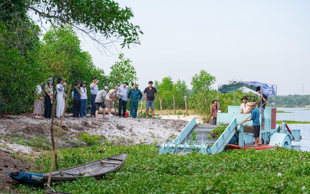 Thử nghiệm máy gom cắt bèo trên sông. Ảnh: V.D.