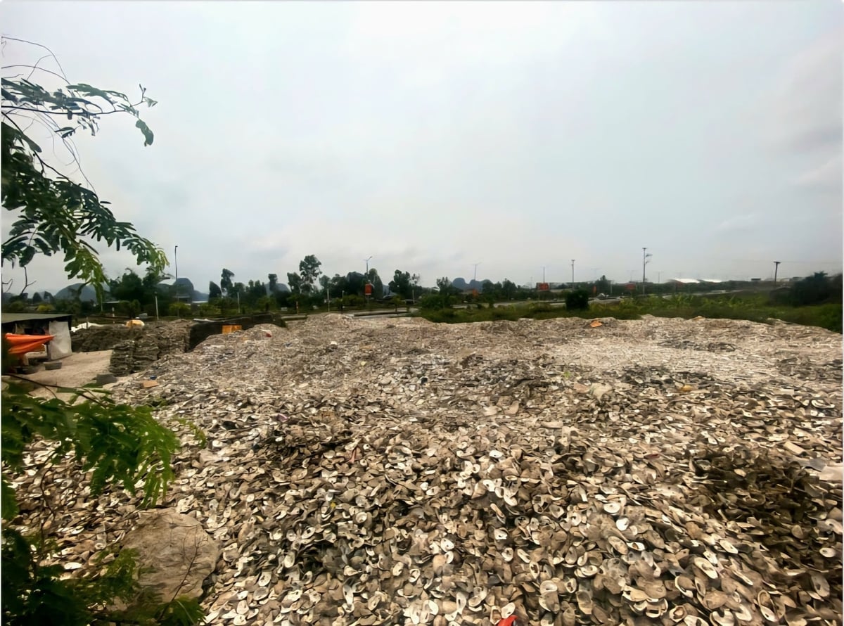 Hiện trường tập kết vỏ hàu. Ảnh: Công an tỉnh Quảng Ninh. 