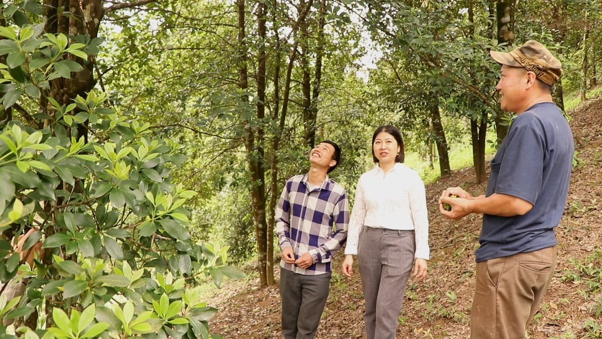 Chủ tịch Hội Nông dân xã Nghinh Tường Ma Thị Quyên tại vườn hồi nhà anh Liêu. Ảnh: Ngọc Tú.