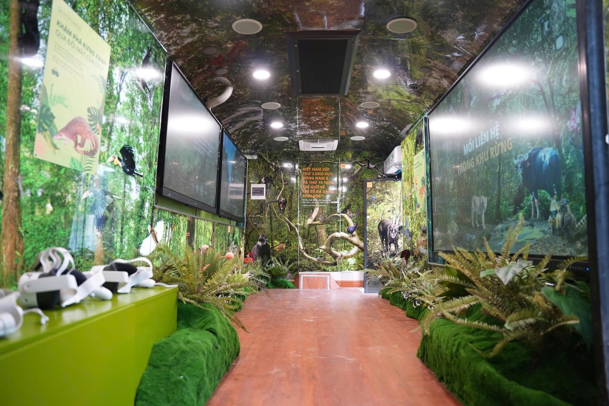 Visitors can explore interactive exhibits inside the Mobile Nature Center. Photo: Organizers.