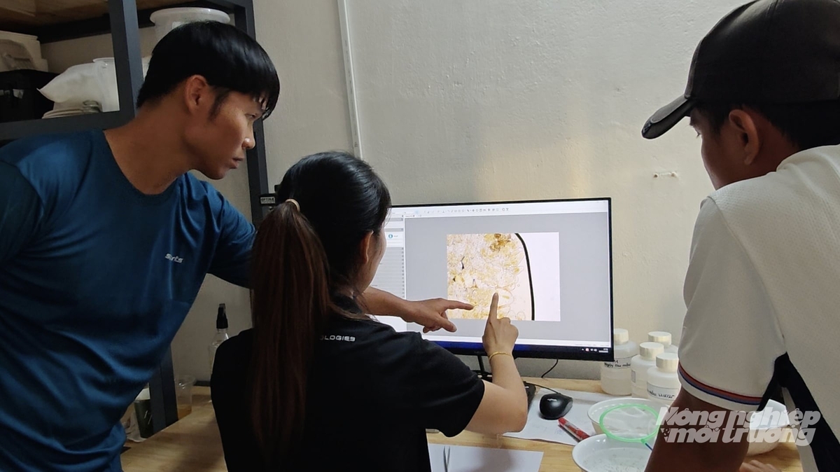 By optimizing operations and controlling the farming environment through data, TOMGOXY® helps reduce electricity consumption from around 5,000 kWh to approximately 2,000 kWh per ton of commercial shrimp. Photo: Minh Dam.