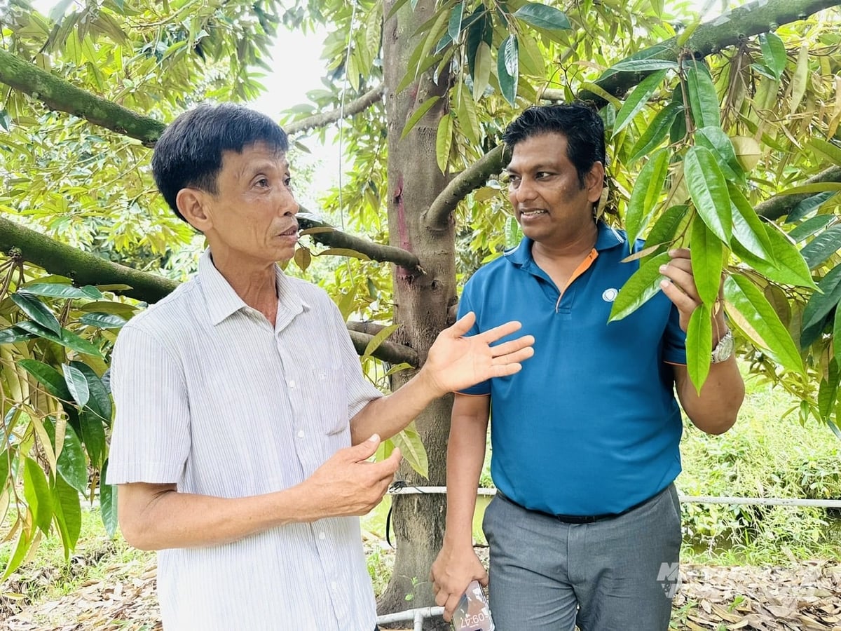 Ông Tanaya Ranjan Panda, Tổng giám đốc Công ty TNHH UPL Việt Nam (ảnh phải) trao đổi cùng nhà vườn về quy trình sử dụng sản phẩm sinh học Foltron® XL, Biobac® WP, Calibra®  nhằm phục hồi cây, hạn chế rụng trái và nâng chất lượng sầu riêng. Ảnh: Lê Hoàng Vũ.