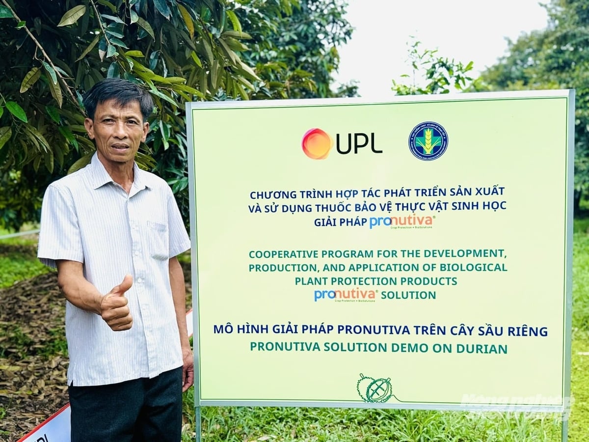 Ông Nguyễn Văn Vĩnh bên mô hình giải pháp Pronutiva® trên vườn sầu riêng tại xã Hậu Mỹ, tỉnh Đồng Tháp, hướng đến sản xuất an toàn và giảm dư lượng phục vụ xuất khẩu. Ảnh: Lê Hoàng Vũ.
