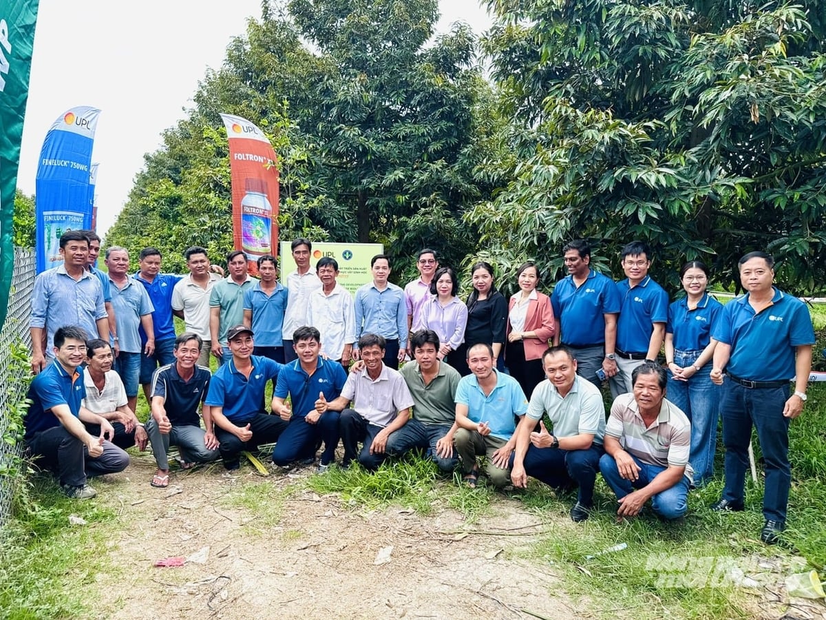Nhiều nhà vườn trồng sầu riêng ở Đồng Tháp đang chuyển sang giải pháp sinh học nhằm nâng chất lượng trái, đáp ứng yêu cầu xuất khẩu. Ảnh: Lê Hoàng Vũ.