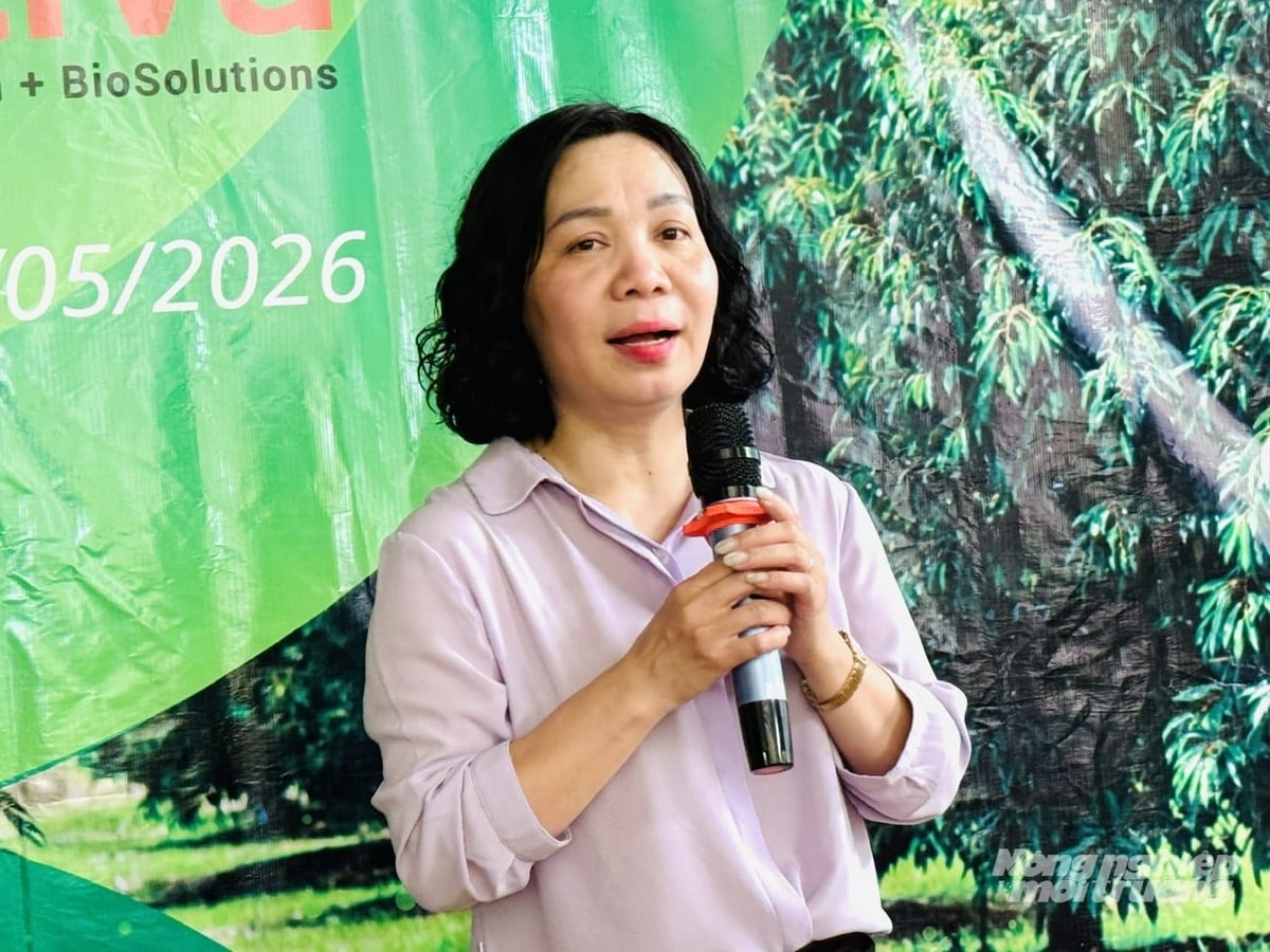 Bà Bùi Thanh Hương, Trưởng phòng Quản lý thuốc Bảo vệ thực vật, cho rằng mục tiêu quan trọng hiện nay là vừa nâng cao hiệu quả kinh tế cho nông dân, vừa bảo đảm an toàn thực phẩm và giảm tác động môi trường. Ảnh: Lê Hoàng Vũ.