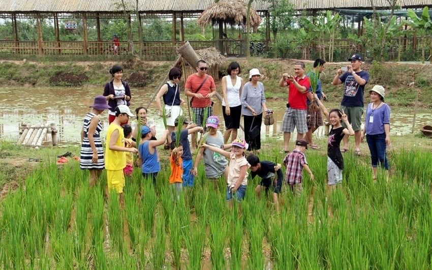 The rural tourism development plan for the 2026–2030 period aims to create sustainable livelihoods, increase incomes, and promote the value of local culture and indigenous resources. Photo: MAE.