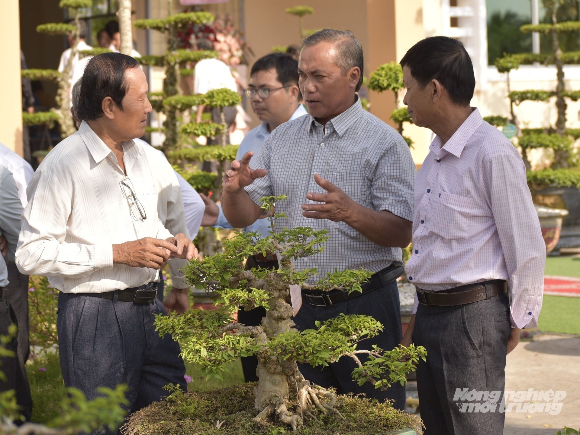 Mai nu chiếu thủy Gò Công là thương hiệu khá nổi tiếng trên thị trường trong và ngoài nước. Ảnh: Minh Đảm.