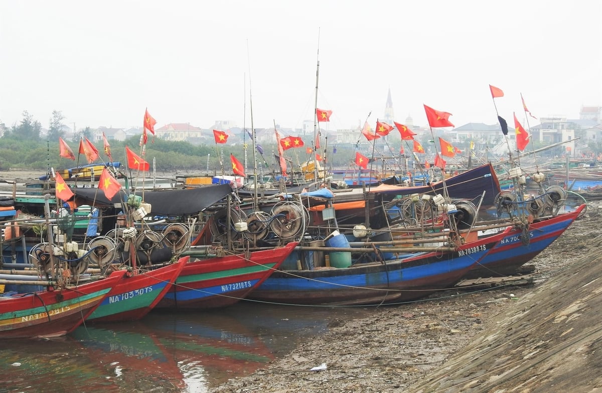 Hiện tượng bồi lắng khu vực các cảng cá gây khó cho tàu cá ra vào trong mùa mưa bão. Ảnh: Thanh Nga.