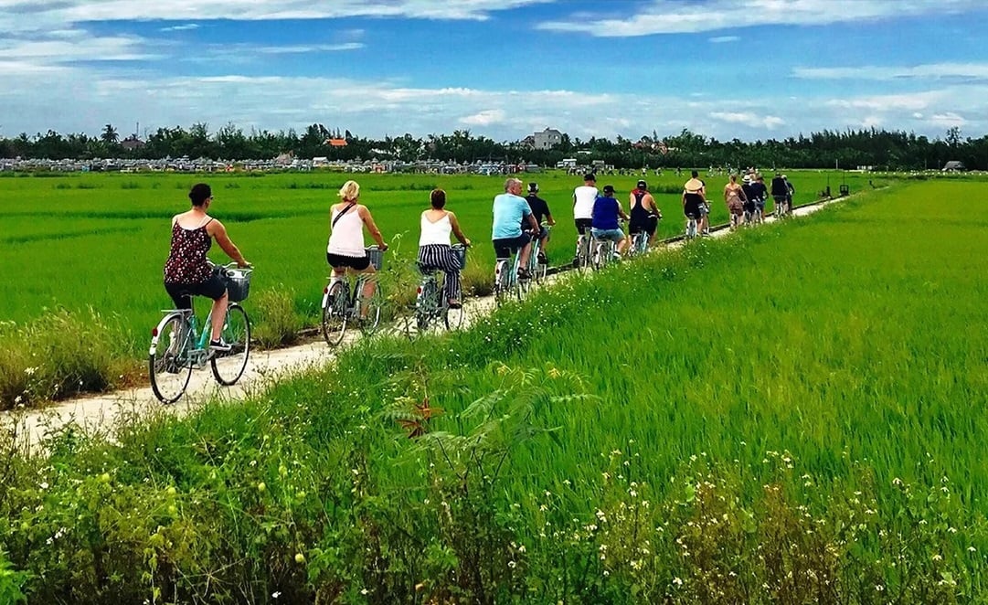 'Có những du khách nước ngoài thích xuống ruộng cấy lúa, tát nước, trải nghiệm đời sống làng quê hơn là ở khách sạn sang trọng. Đó chính là giá trị mà văn hóa làng xã mang lại', PGS. TS. Nhà văn Nguyễn Thế Kỷ chia sẻ. Ảnh: Cục Du lịch Quốc gia Việt Nam.
