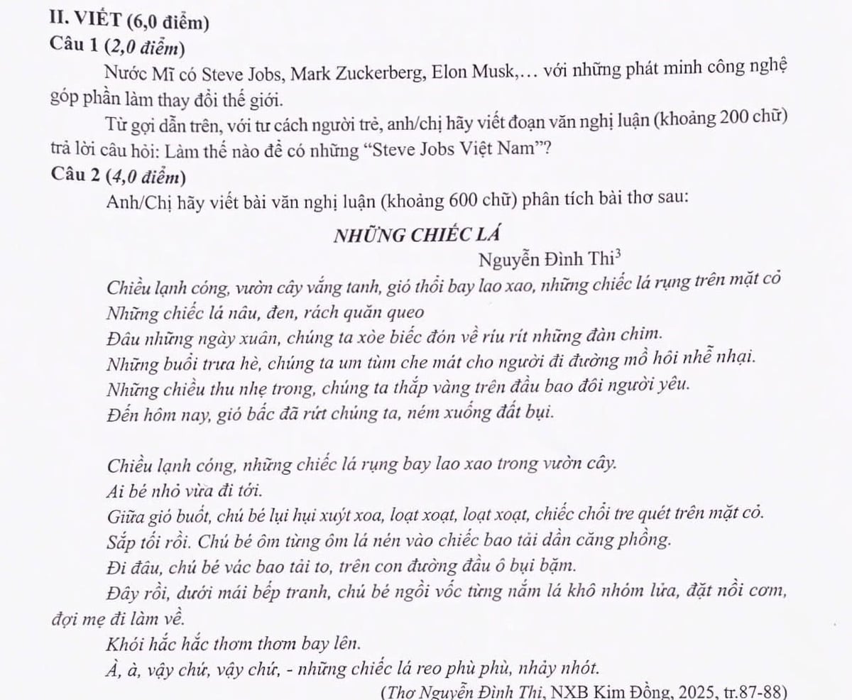 Bài thơ 'Những chiếc lá' vào đề thi môn Văn. Ảnh: MXH