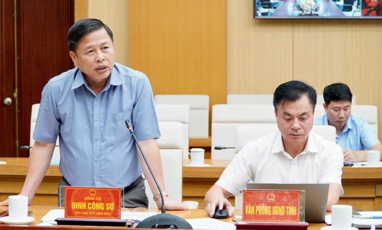 Phó Chủ tịch UBND tỉnh Đinh Công Sứ phát biểu tại hội nghị. Ảnh: Khánh Trang.