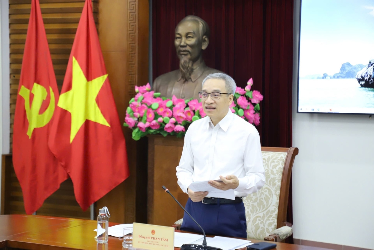 Thứ trưởng Phan Tâm phát biểu tại Hội thảo diễn ra ngày 15/6. Ảnh: Bộ VHTTDL.