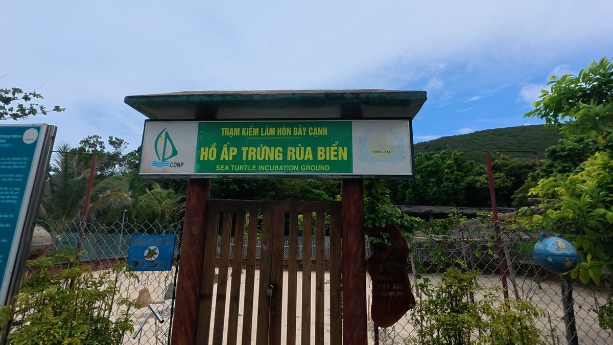 Điểm cầu Hòn Bảy Cạnh là 1 trong 3 địa điểm ghi hình. Ảnh: BTC.