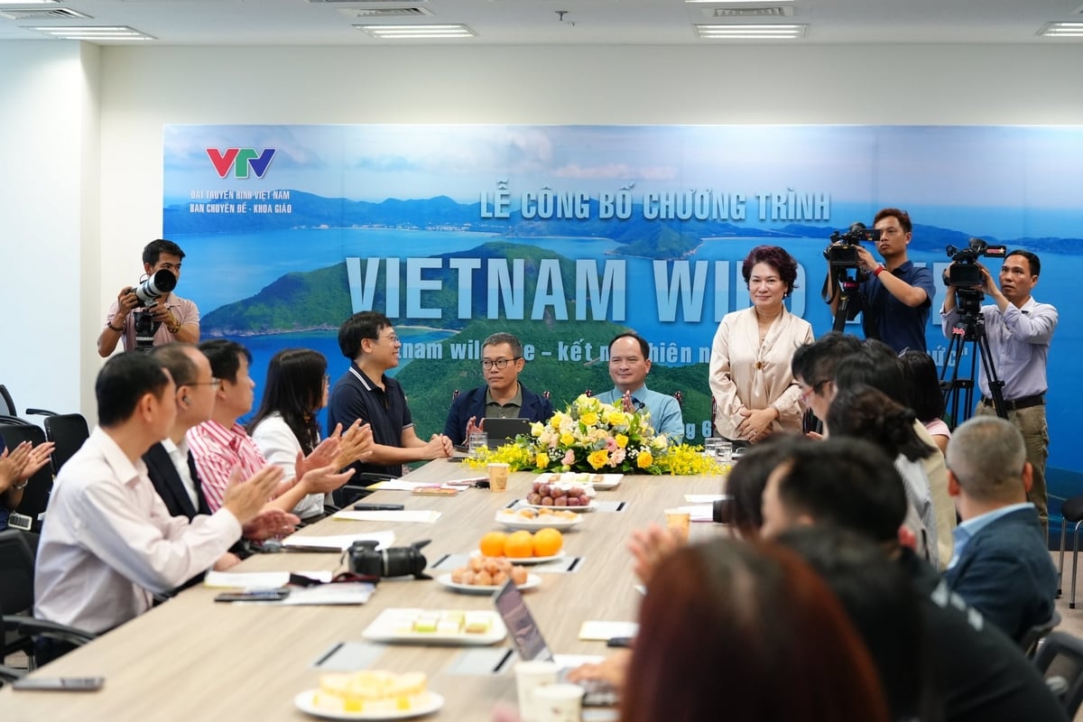 Ban Tổ chức trả lời câu hỏi của các phóng viên tại buổi họp báo ra mắt dự án Vietnam Wild Live sáng 16/6.