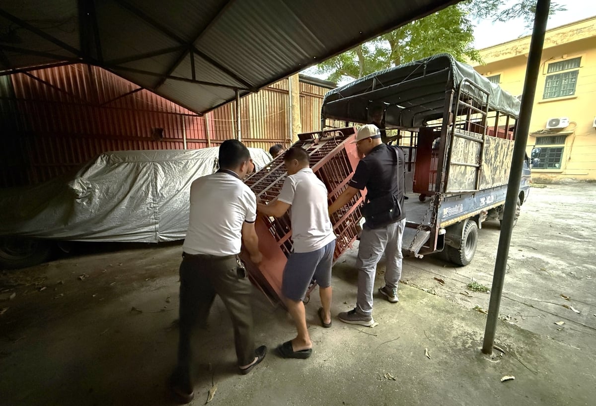 Xe vận chuyển chuyên dụng được trang bị hệ thống phun sương giúp duy trì nhiệt độ phù hợp bên trong khoang vận chuyển. Ảnh: AAF.
