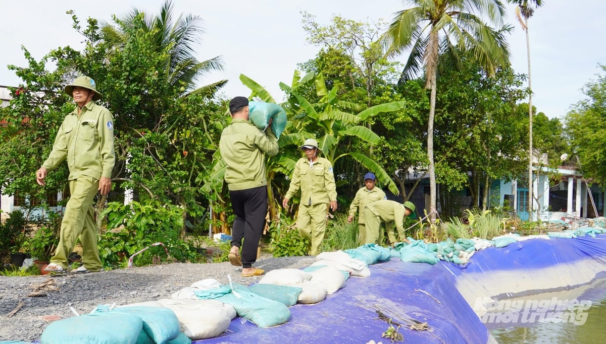 Nguồn vốn từ Quỹ Phòng, chống thiên tai đang được TP.HCM ưu tiên cho các công trình xử lý sạt lở, chống ngập và ứng phó triều cường, góp phần bảo vệ khu dân cư và hạ tầng thiết yếu. Ảnh: Lê Bình.