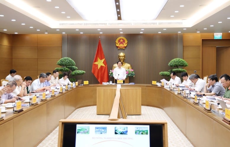 Phó Thủ tướng yêu cầu Bộ Nông nghiệp và Môi trường tiếp tục phối hợp chặt chẽ với các bộ, ngành liên quan rà soát, hoàn thiện hồ sơ trước khi trình cấp có thẩm quyền xem xét. Ảnh: VGP. Phó Thủ tướng yêu cầu Bộ Nông nghiệp và Môi trường tiếp tục phối hợp chặt chẽ với các bộ, ngành liên quan rà soát, hoàn thiện hồ sơ trước khi trình cấp có thẩm quyền xem xét. Ảnh: VGP.