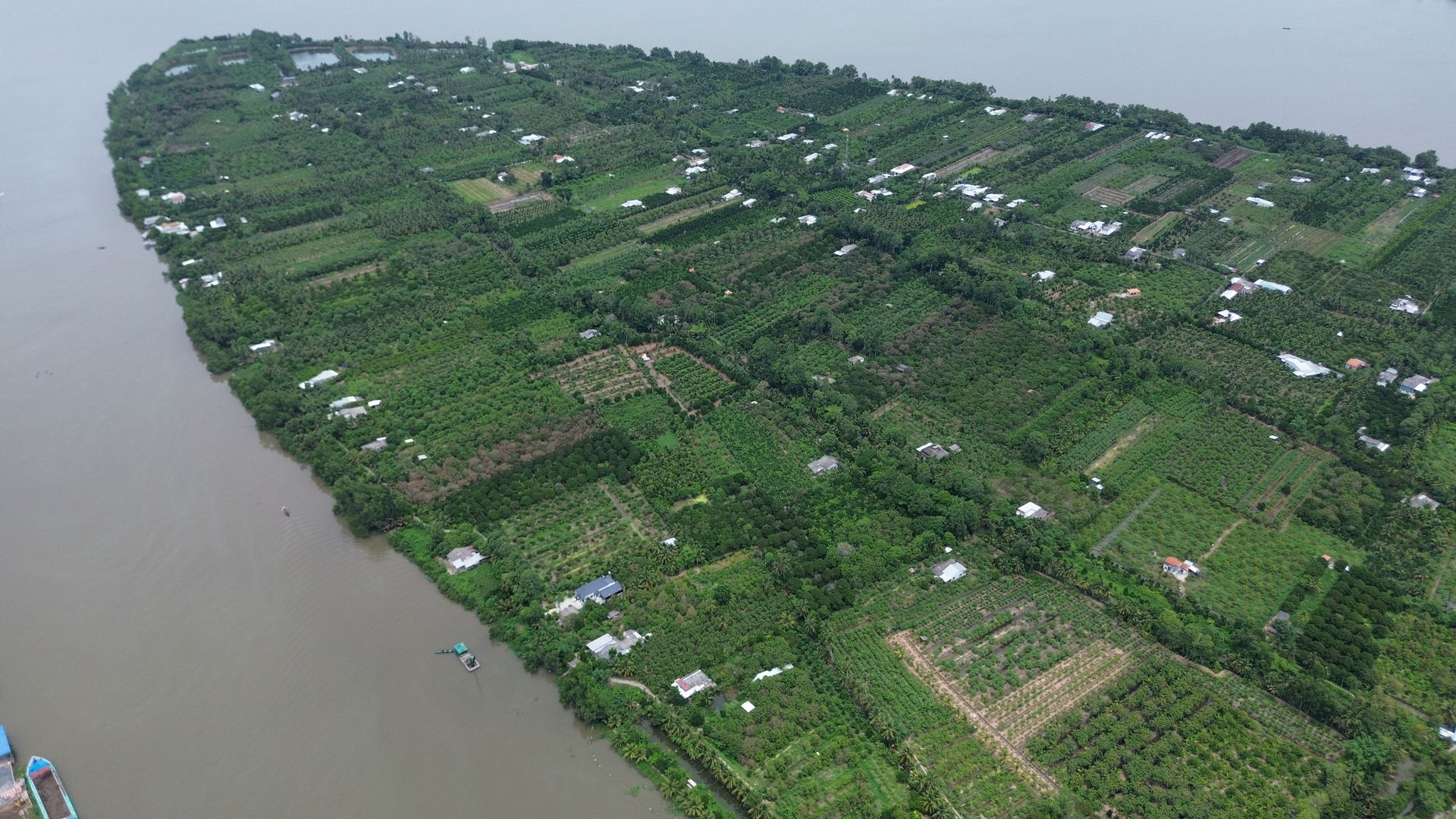 Một góc Cù lao Tân Quy, khu vực được tỉnh Vĩnh Long quy hoạch phát triển du lịch sinh thái. Ảnh: Hồ Thảo.