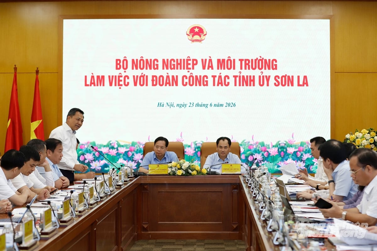 Bộ trưởng Bộ Nông nghiệp và Môi trường Trịnh Việt Hùng chủ trì cuộc làm việc với đoàn công tác tỉnh Sơn La do Bí thư Tỉnh ủy Hoàng Văn Nghiệm làm trưởng đoàn nhằm tháo gỡ những khó khăn, vướng mắc của địa phương trong lĩnh vực nông nghiệp và môi trường. Ảnh: Khương Trung.