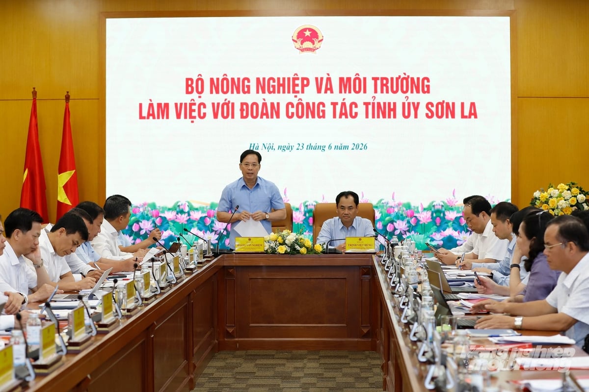 Bí thư Tỉnh ủy Sơn La Hoàng Văn Nghiệm nhấn mạnh nông, lâm nghiệp là một trong những trụ cột quan trọng của địa phương, có ý nghĩa lớn đối với ổn định đời sống nhân dân, bảo đảm an ninh lương thực và phát triển nông thôn. Ảnh: Khương Trung.
