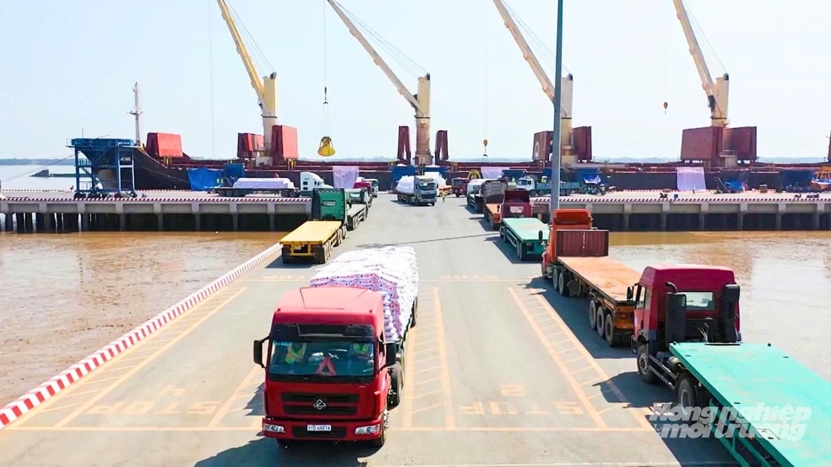 Hoạt động logistics, vận chuyển hàng hóa tại cảng góp phần thúc đẩy phát triển kinh tế TP Cần Thơ. Ảnh: Văn Vũ.