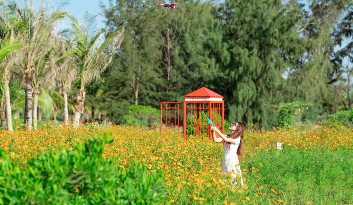 Du khách tạo dáng bên trong cánh đồng hoa bướm bạt ngàn nằm ngay trong CaraWorld. Ảnh: KN Cam Ranh.