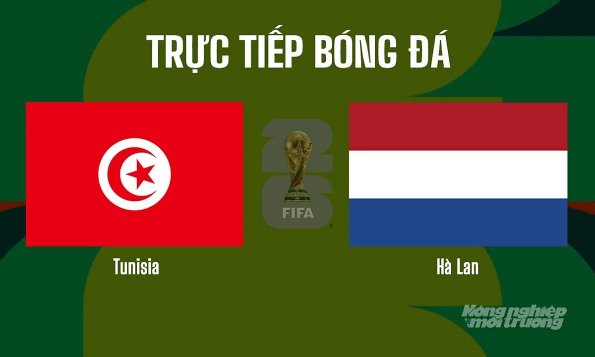 Trực tiếp bóng đá tại vòng bảng World Cup 2026 giữa Tunisia vs Hà Lan ngày 26/6/2026