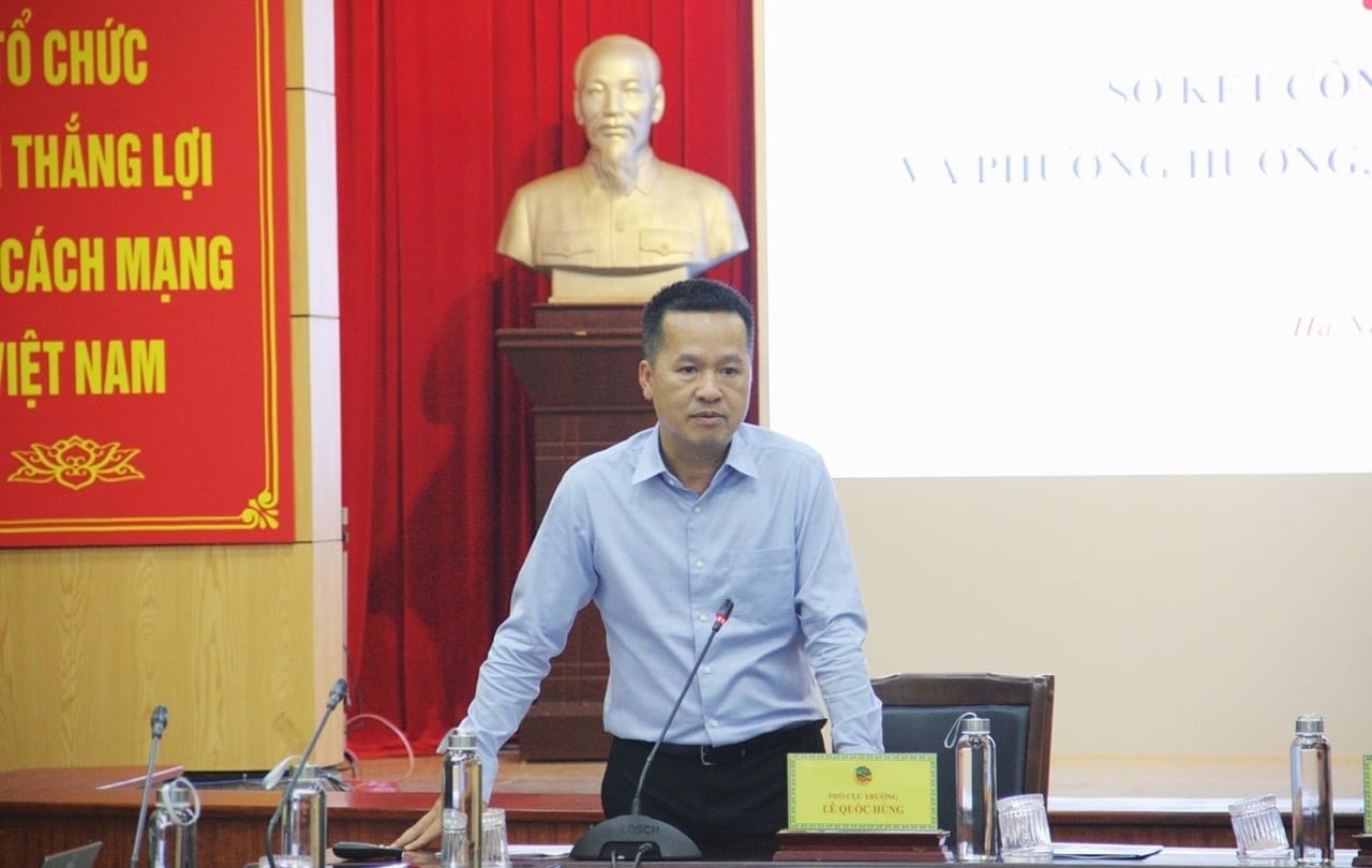 Ông Lê Quốc Hùng, Phó Cục trưởng Cục Địa chất và Khoáng sản Việt Nam phát biểu tại hội nghị. Ảnh: Mai Đan.