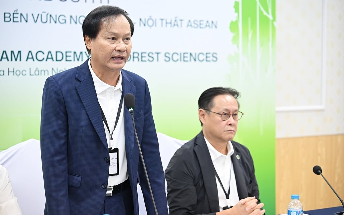 Ông Phùng Quốc Mẫn, Chủ tịch Hội Mỹ nghệ và Chế biến gỗ TP.HCM (HAWA). Ảnh: Bảo Thắng.