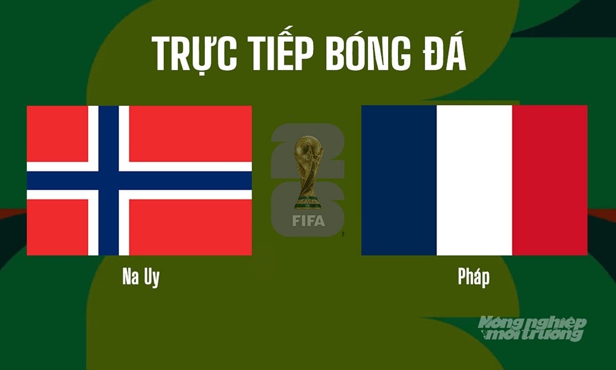 Trực tiếp bóng đá tại vòng bảng World Cup 2026 giữa Na Uy vs Pháp ngày 27/6/2026