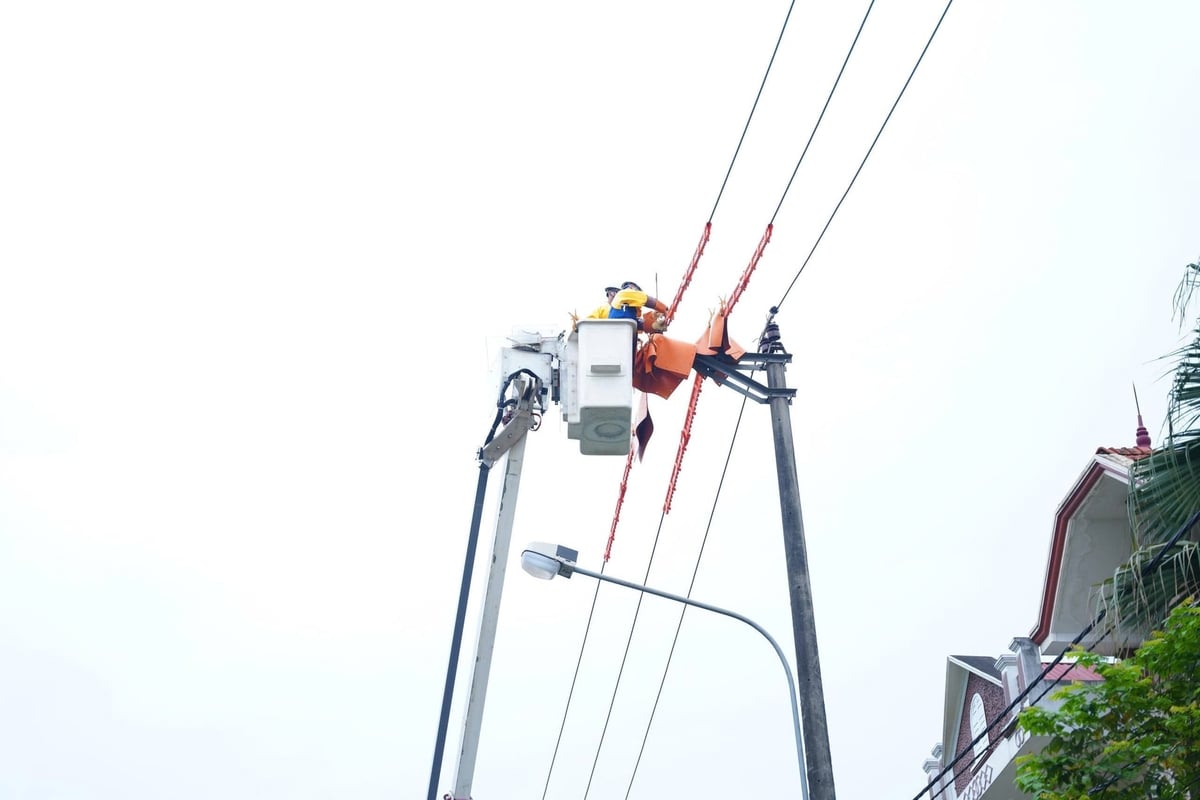 Trong năm 2025, Công ty đã thực hiện thành công 246 phiên sửa chữa Hotline, đạt 119% kế hoạch được giao. Ảnh: Trần Hùng.