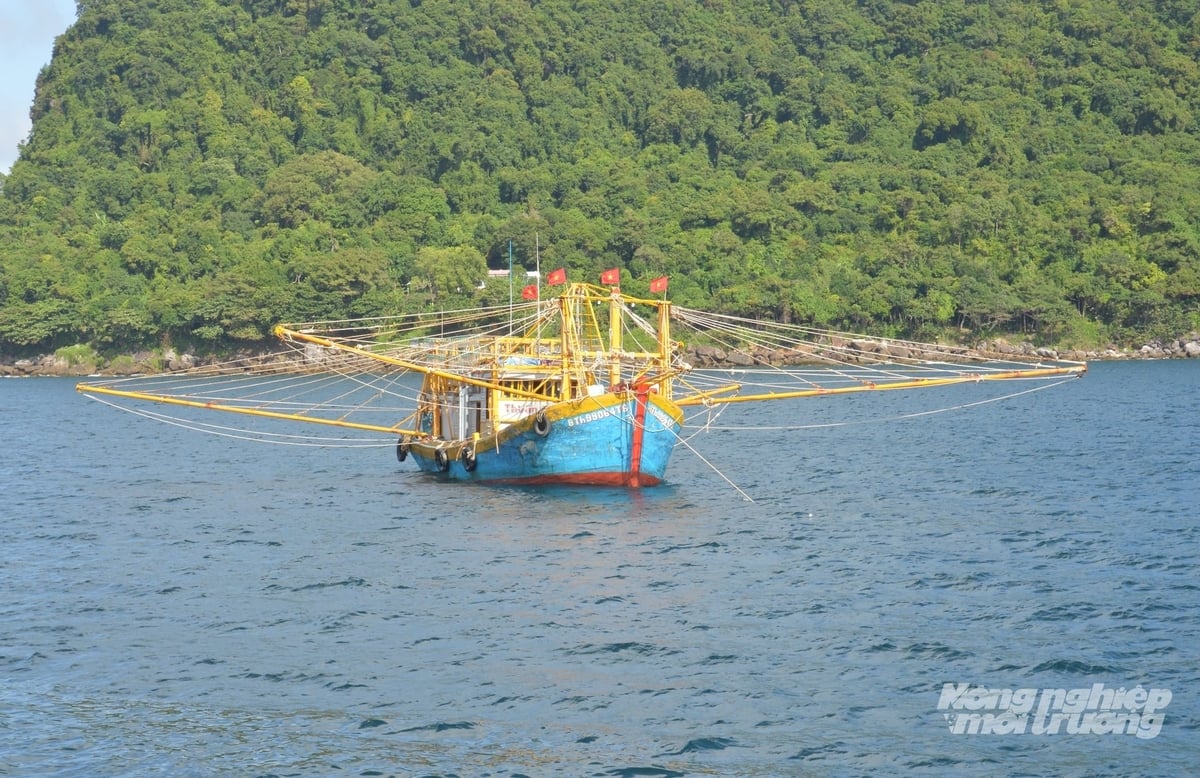 Mỗi con tàu của ngư dân kiên trì bám vùng biển Thổ Châu là 'cột mốc sống' chủ quyền biển đảo. Ảnh: Trung Chánh.
