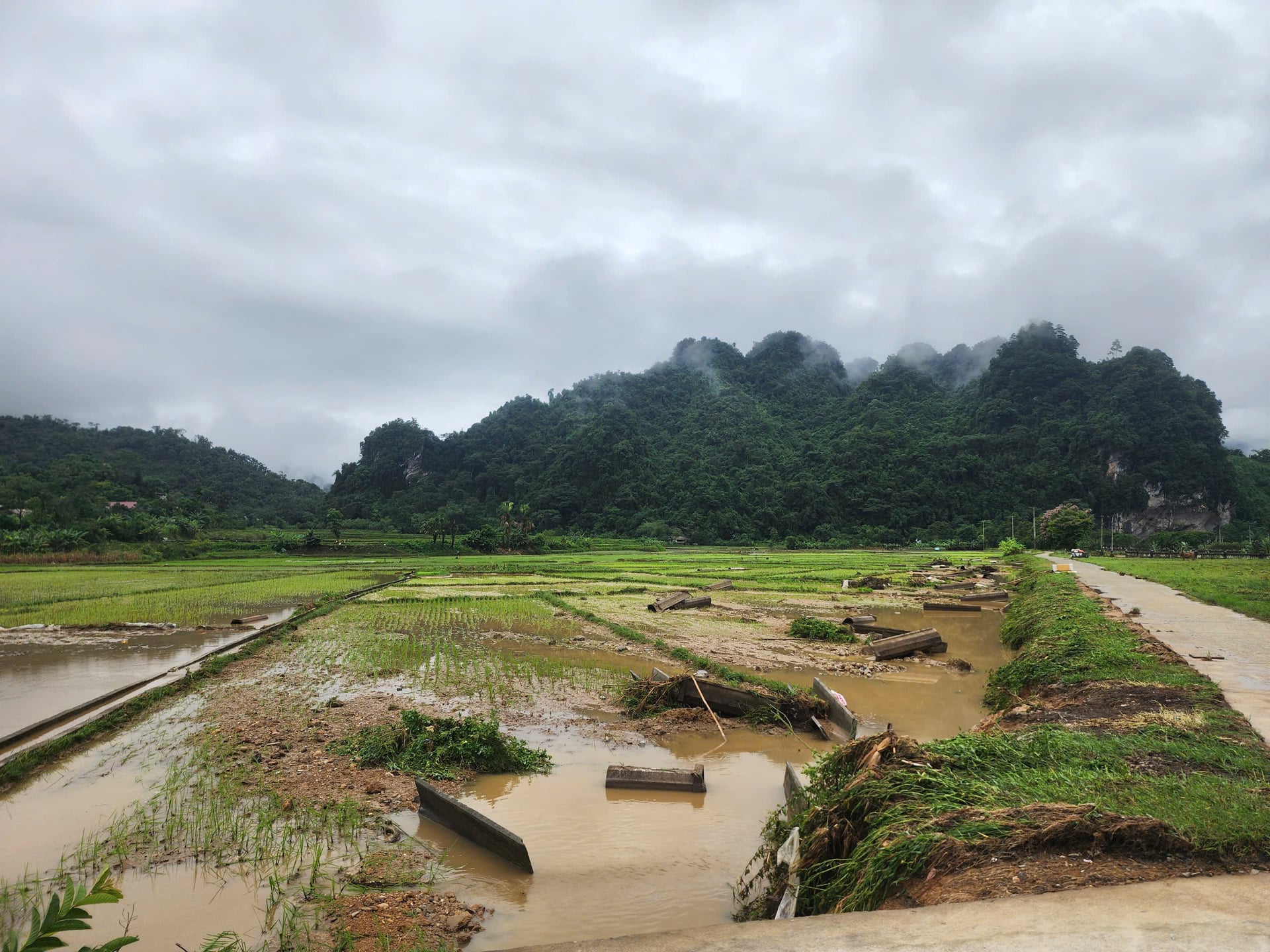 Một số tuyến đường giao th&ocirc;ng, k&ecirc;nh mương nội đồng, bờ k&egrave;&hellip; bị hư hỏng nghi&ecirc;m trọng do mưa lũ g&acirc;y ra. Ảnh: Kim Thoa.