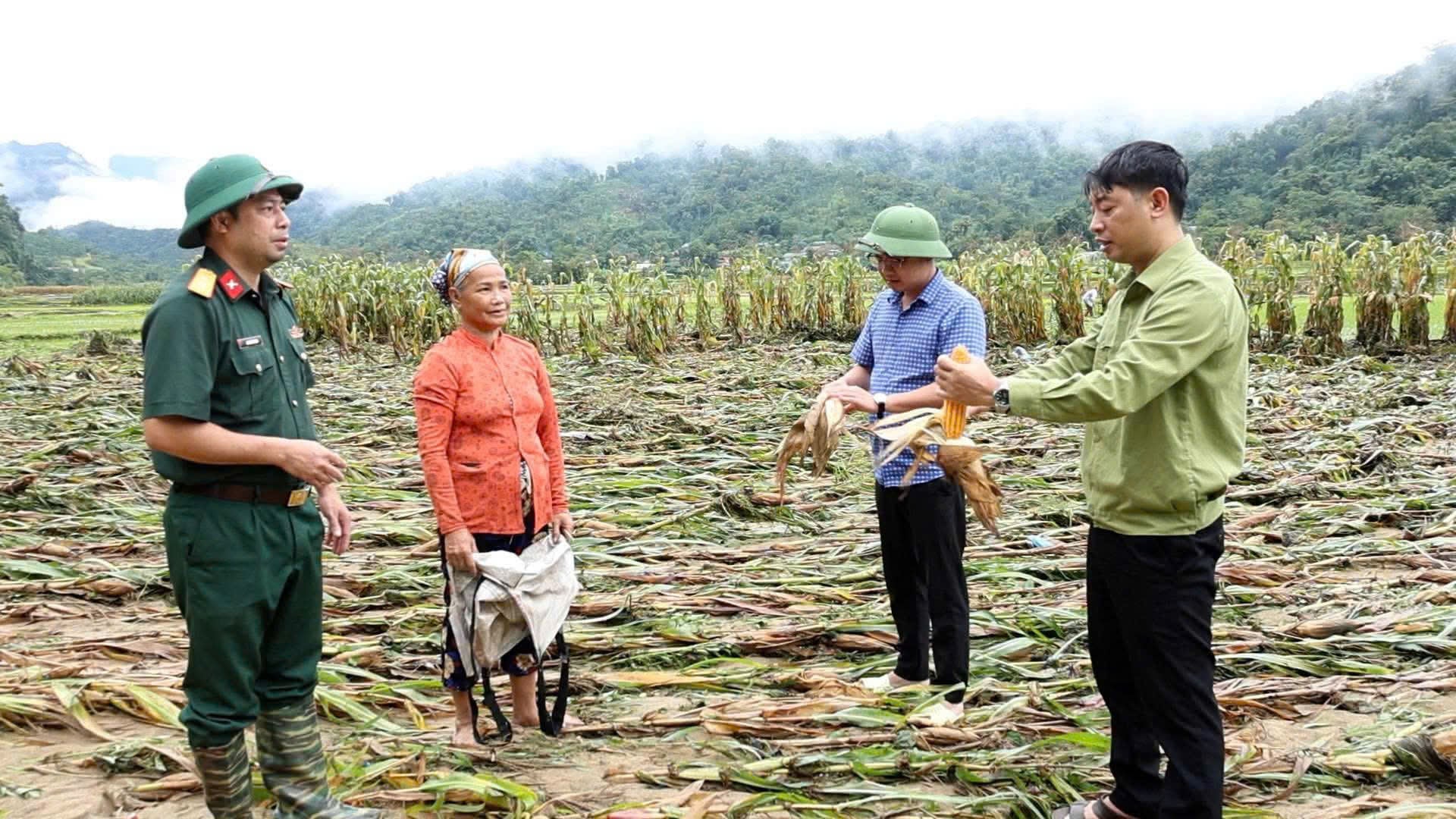 C&aacute;c địa phương đang t&iacute;ch cực, chủ động hướng dẫn nh&acirc;n d&acirc;n khắc phục hậu quả do mưa lớn bảo đảm ổn định đời sống v&agrave; sản xuất của nh&acirc;n d&acirc;n; chủ động sử dụng nguồn dự ph&ograve;ng ng&acirc;n s&aacute;ch được ph&acirc;n cấp v&agrave; c&aacute;c nguồn vốn hợp ph&aacute;p kh&aacute;c để tổ chức thực hiện khắc phục thiệt hại do thi&ecirc;n tai g&acirc;y ra. Ảnh: Kim Thoa.