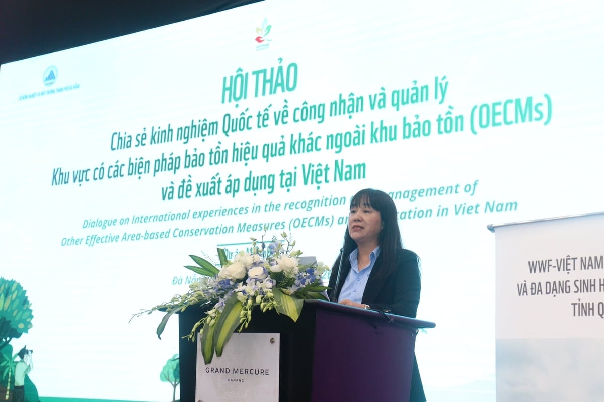 Bà Vũ Thị Bích Hậu, Phó Giám đốc Sở NN-MT TP. Đà Nẵng cho rằng, OECM mở ra cơ hội để chuyển từ tư duy 'khoanh vùng để bảo vệ' sang 'kết nối để cùng gìn giữ'. Ảnh: L.A.