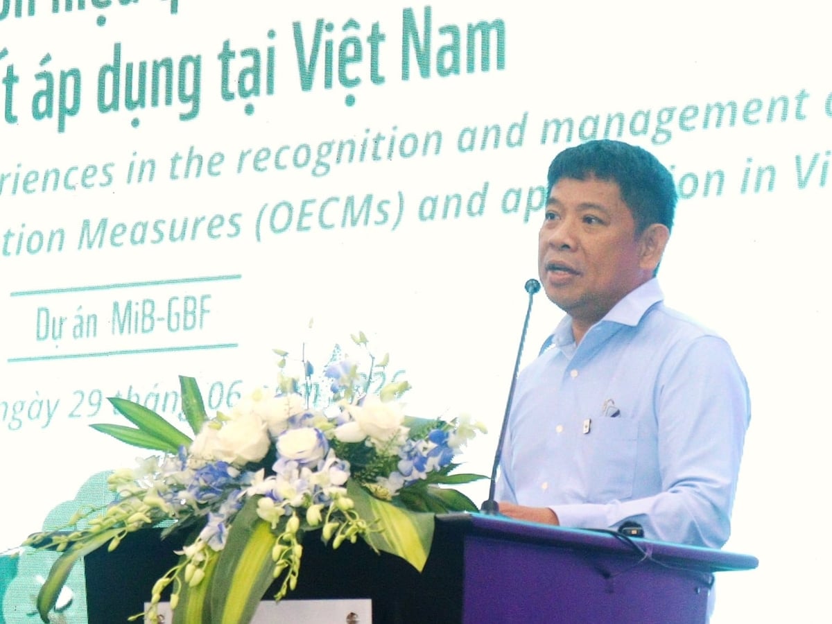Ông Văn Ngọc Thịnh, Tổng Giám đốc WWF-Việt Nam cho rằng, đây là thời điểm thuận lợi để Việt Nam từng bước đưa OECM vào thực tiễn. Ảnh: L.A.