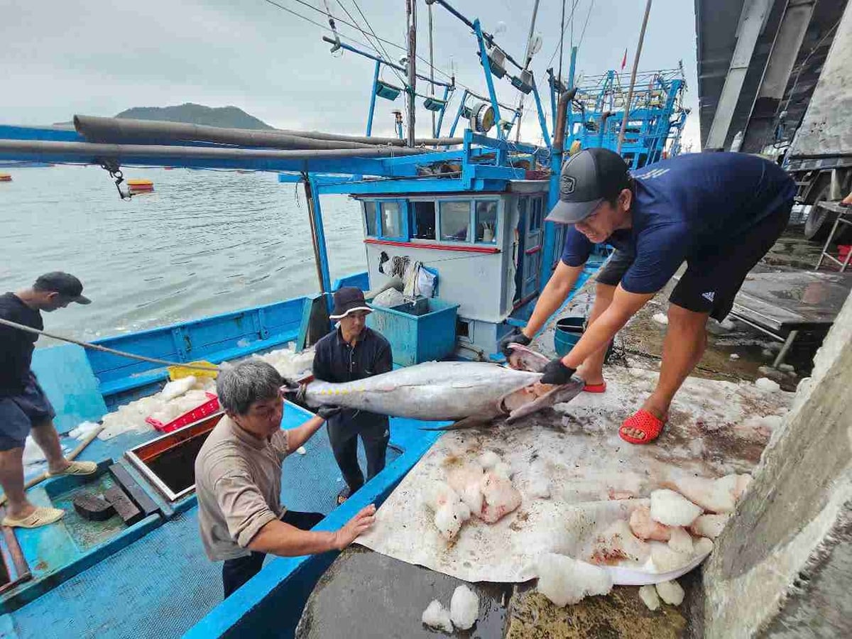 Cần đảm bảo sinh kế cho người dân ven biển để từ đó họ có thể sống được với nghề biển và gắn bó lâu dài. Ảnh: Hữu Long.