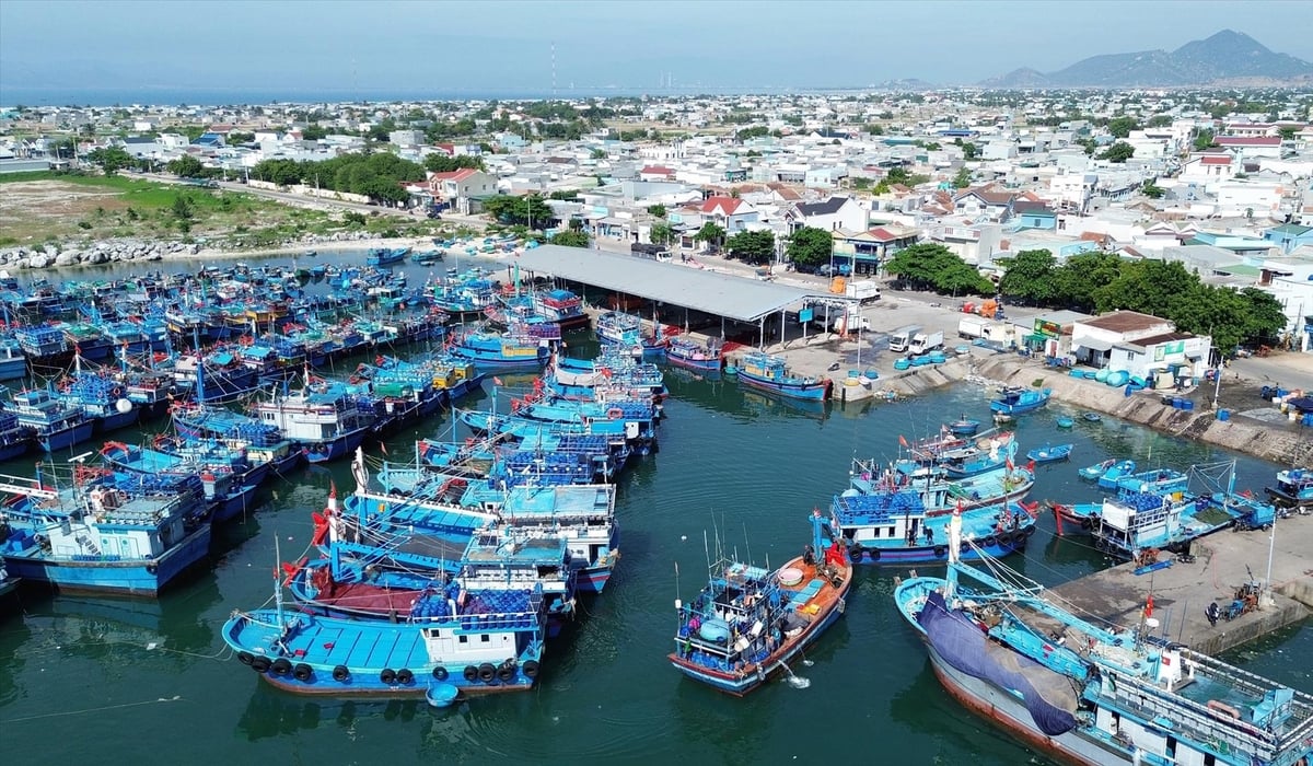 Tiềm năng biển của Việt Nam là rất lớn nhưng hiện tại việc khai thác còn khá khiêm tốn. Ảnh: TTXVN.